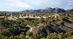 Luxury Real Estate : Neverland | Sycamore Valley Ranch, Finest Residences